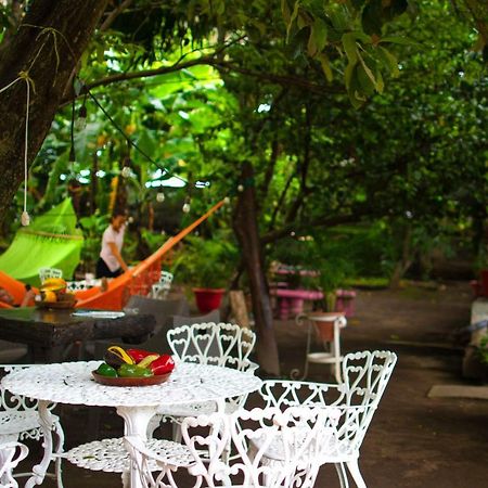 Hostel Los Abuelos モヨガルパ エクステリア 写真